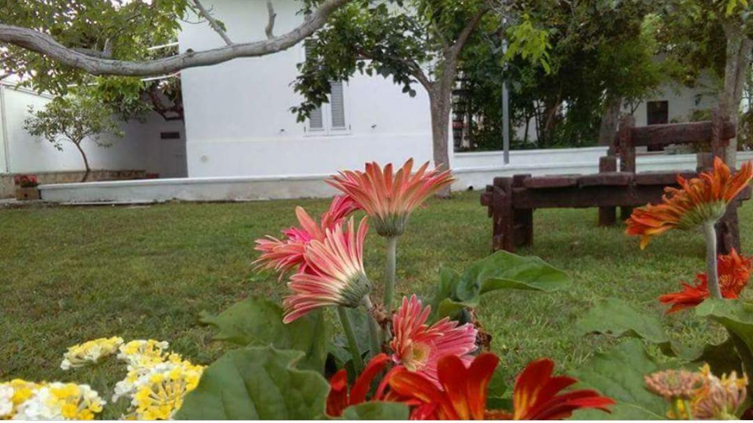 Borgo Fiore Country House Salice Salentino Eksteriør bilde